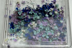 Trockenblumen Blau-Lila 1